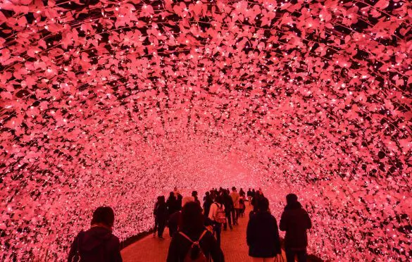 2018年3月16日，日本名古屋。Nabana No Sato公园的巨型led光隧道。